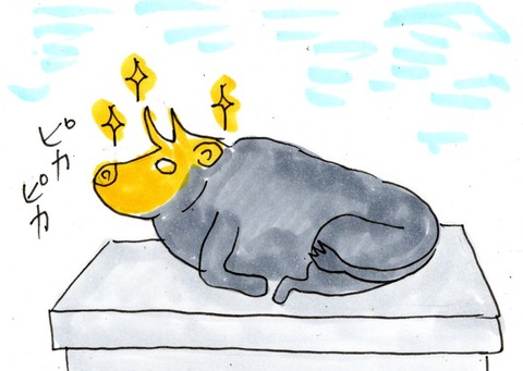 img20230613_22390244