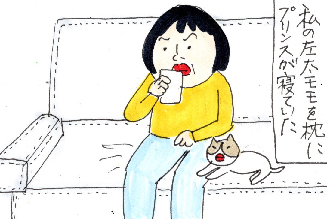 なにこれ 濡れていないのに濡れたような感覚 カータンblog あたし 主婦の頭の中 Powered By ライブドアブログ