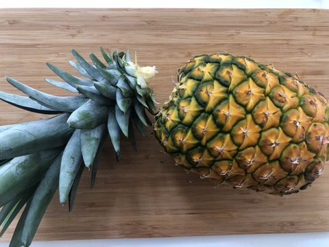 FullSizeRender
