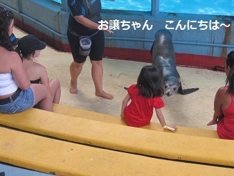 あたし・主婦の頭の中