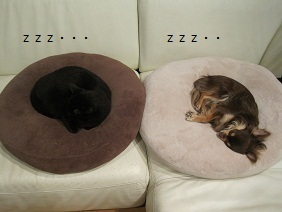 あたし・主婦の頭の中