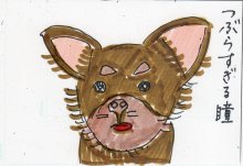 あたし・主婦の頭の中