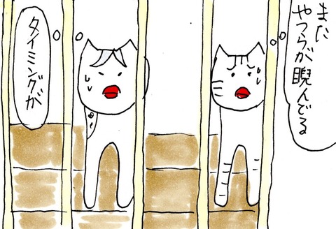 img20210629_22242474