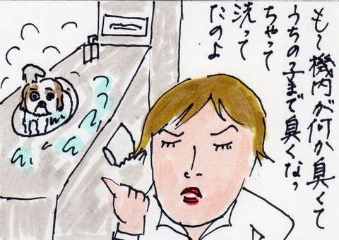 シーズー432