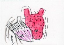 あたし・主婦の頭の中