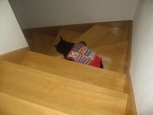 あたし・主婦の頭の中