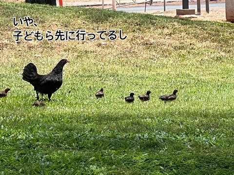 S__28770640