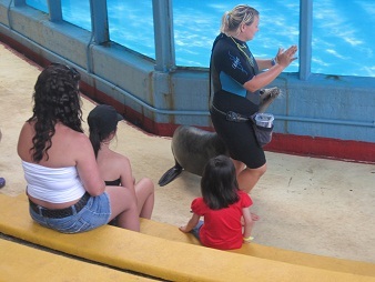 あたし・主婦の頭の中