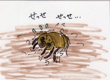 あたし・主婦の頭の中