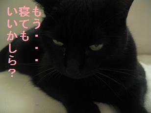 あたし・主婦の頭の中