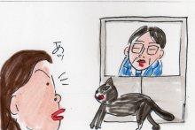 あたし・主婦の頭の中