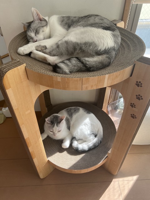 8A42684C-3A6A-4E16-99B1-3206CBA3C8DC