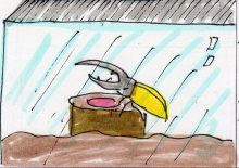 あたし・主婦の頭の中