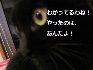 あたし・主婦の頭の中