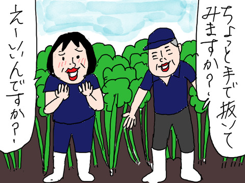 青森14