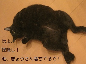 あたし・主婦の頭の中