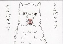 あたし・主婦の頭の中
