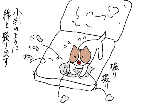 240429−7