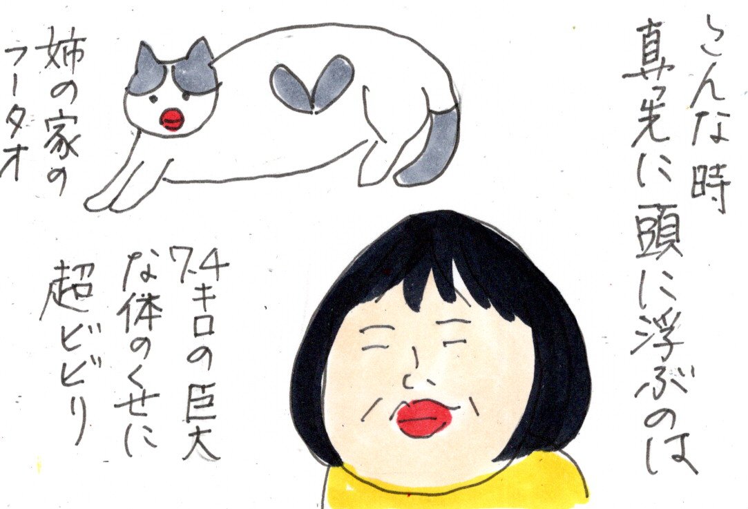 風の強い日のLINE : カータンBLOG あたし・主婦の頭の中 Powered by