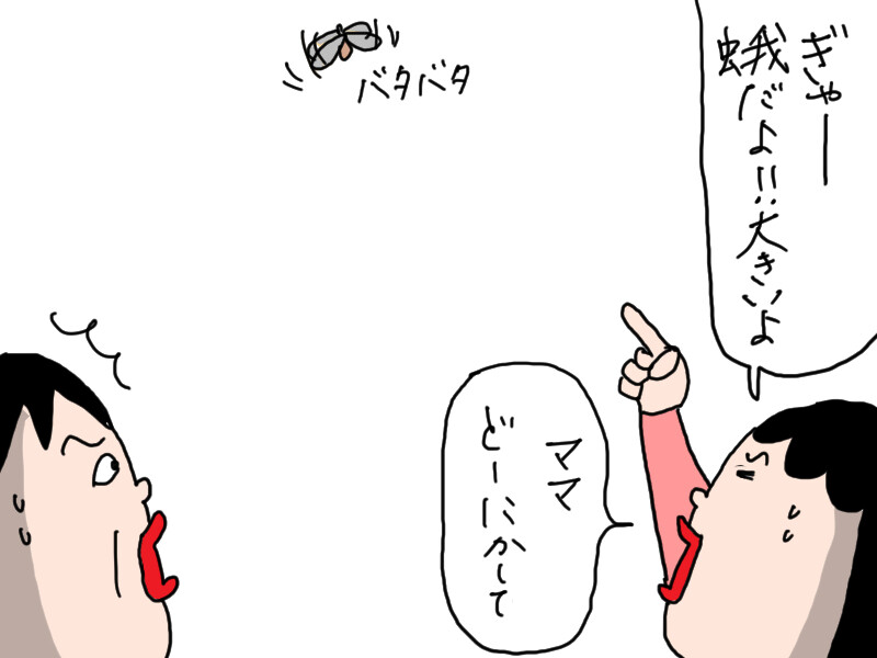 野生のジン : カータンBLOG あたし・主婦の頭の中 Powered by