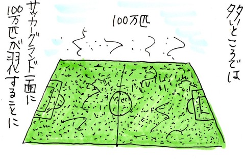 img20210520_22365362