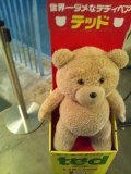 あたし・主婦の頭の中