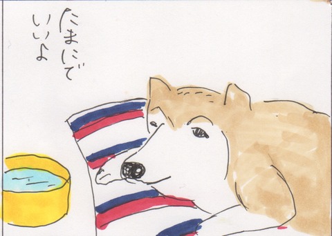 スキャン 3562