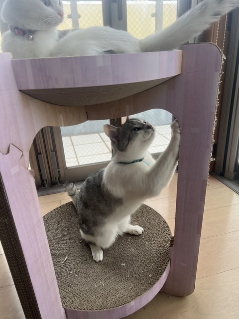 78FB04FB-CDAA-4A4F-BEBF-611070458752