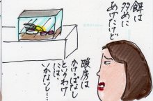 あたし・主婦の頭の中