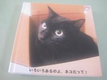 あたし・主婦の頭の中