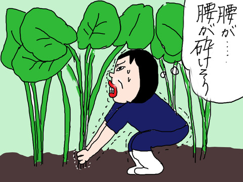 青森20