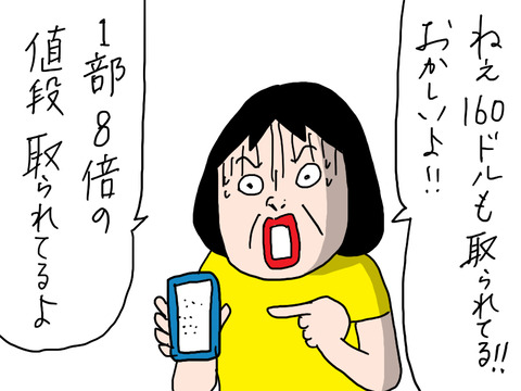 ハワイ滞在記 2025年秋①出発前にまた騒動が！ : カータンBLOG あたし