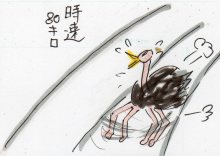 あたし・主婦の頭の中