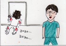 あたし・主婦の頭の中