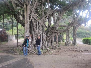 あたし・主婦の頭の中
