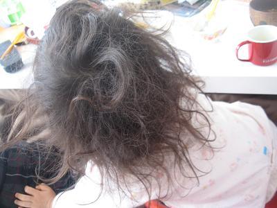 あたし・主婦の頭の中