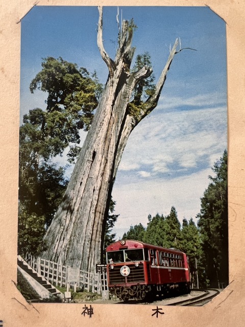 S__66183193
