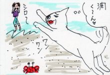 あたし・主婦の頭の中