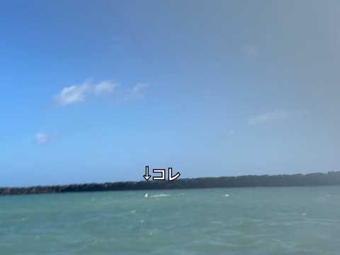S__28811778