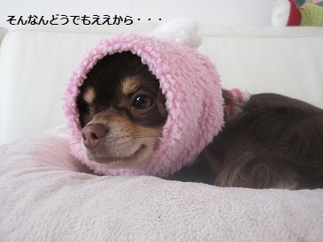 あたし・主婦の頭の中