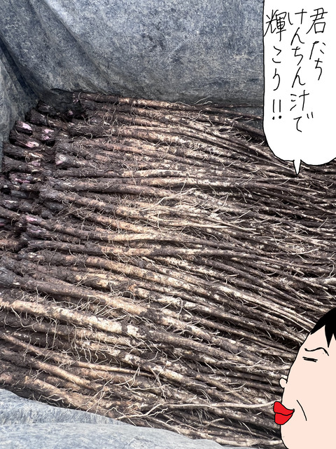 青森28