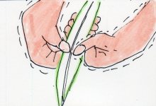 あたし・主婦の頭の中