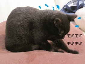 あたし・主婦の頭の中