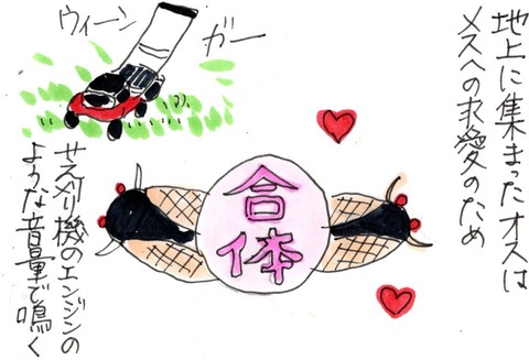 img20210520_22365394