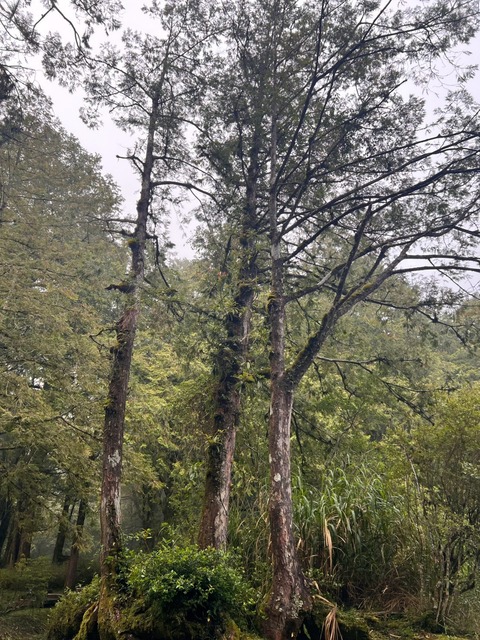 S__66134044