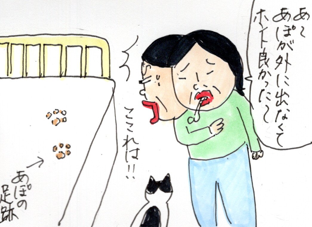 高齢な親の話 母のかわいいボケ カータンblog あたし 主婦の頭の中 Powered By ライブドアブログ 高齢な親の話 母のかわいいボケ カータンblog あたし 主婦の頭の中 Powered By ライブドアブログ