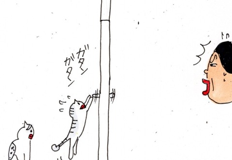 img20210716_22074845