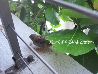 あたし・主婦の頭の中