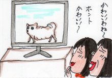あたし・主婦の頭の中