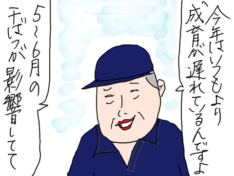 青森24